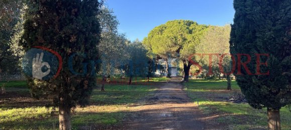 2 rooms House in San Vito dei Normanni, Italy No. 26110 2