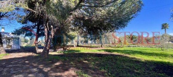 2 rooms House in San Vito dei Normanni, Italy No. 26110 37