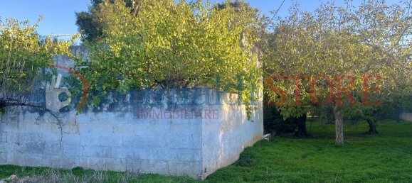 2 rooms House in San Vito dei Normanni, Italy No. 26110 11