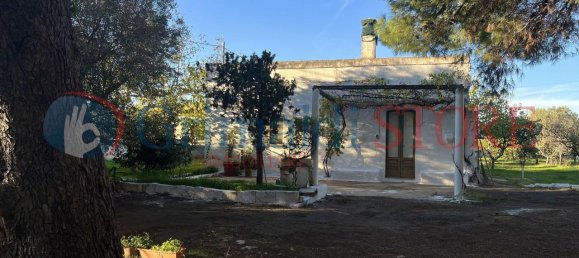 2 rooms House in San Vito dei Normanni, Italy No. 26110 6