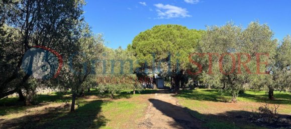 2 rooms House in San Vito dei Normanni, Italy No. 26110 15