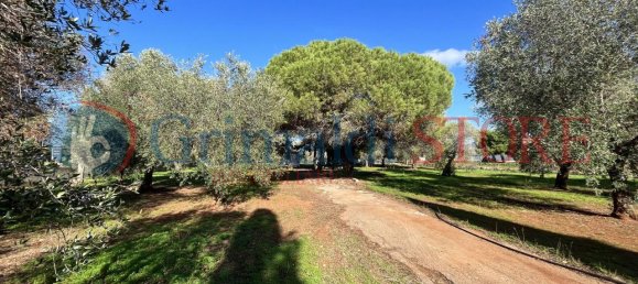 2 rooms House in San Vito dei Normanni, Italy No. 26110 40