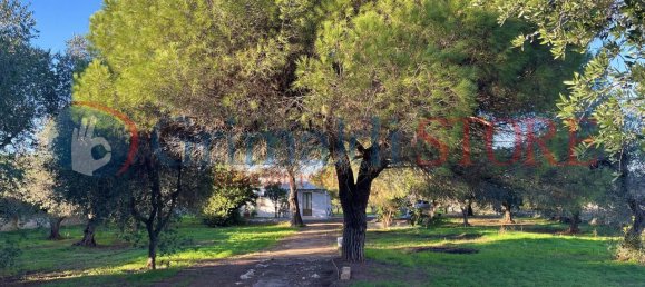 2 rooms House in San Vito dei Normanni, Italy No. 26110 4