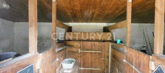 19غرفة مزرعة في Luchow-Dannenberg, Germany رقم 191603 6