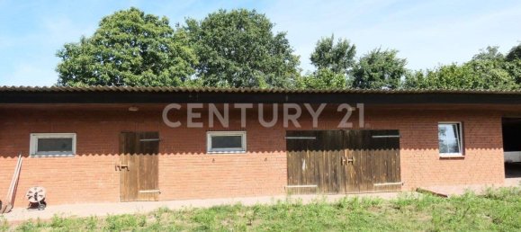 19غرفة مزرعة في Luchow-Dannenberg, Germany رقم 191603 5