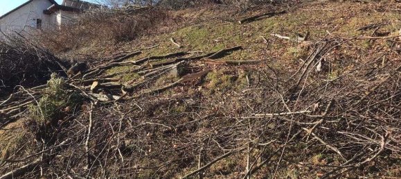  Land in Stattegg, Austria No. 159376 7