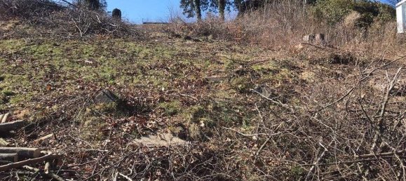  Land in Stattegg, Austria No. 159376 5