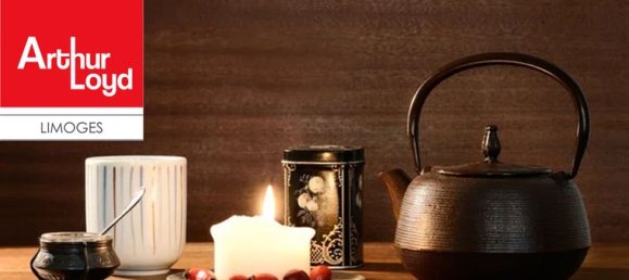 55m² Commercial property in Limoges, France No. 308219 3