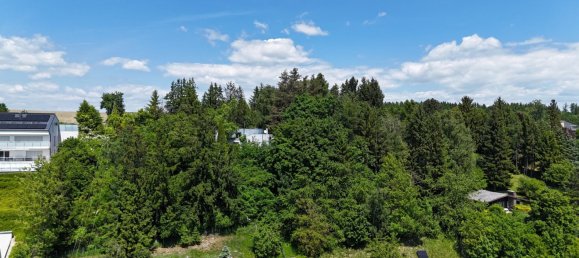  Land in Buchkirchen, Austria No. 126353 10