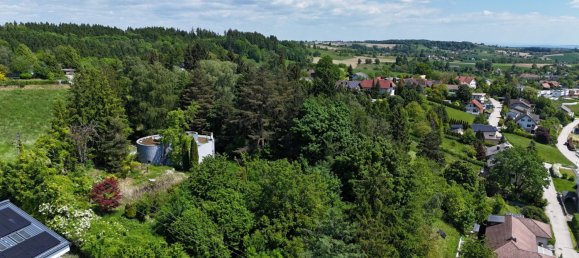  Land in Buchkirchen, Austria No. 126353 6