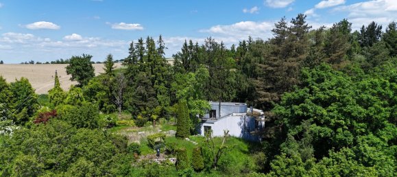  Land in Buchkirchen, Austria No. 126353 2