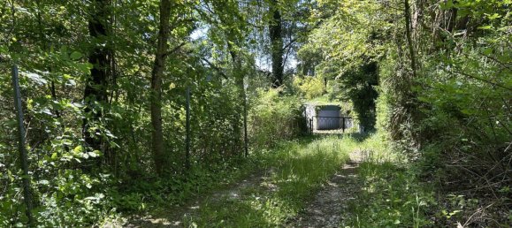  Land in Buchkirchen, Austria No. 126353 9