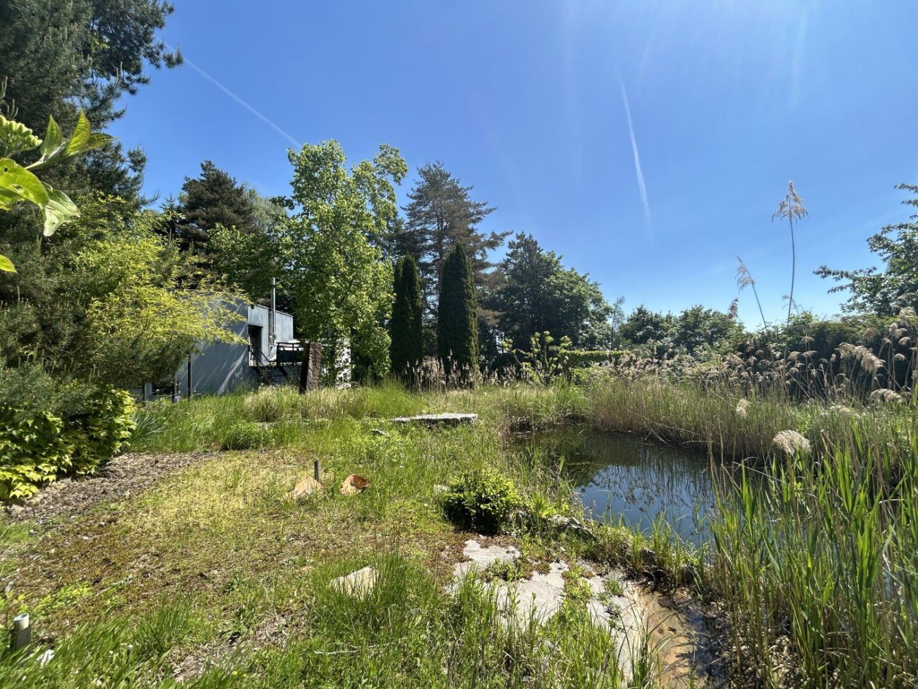  Land in Buchkirchen, Austria No. 126353