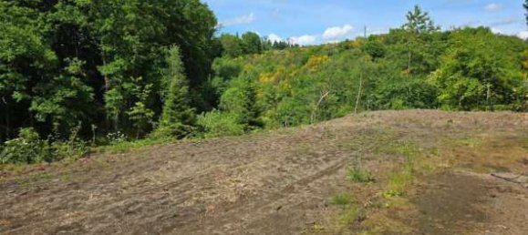 Terreno de 7 divisões em Rhineland-Palatinate, Germany N.º 246231 4