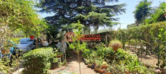 4 bedrooms Villa in Trani, Italy No. 272295 22