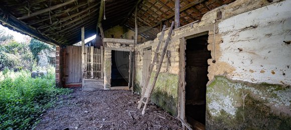 3 غرف نوم منزل في Vilarinho do Bairro, Portugal رقم 47617 21