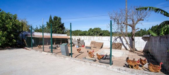 7 bedrooms Land in Bombarral, Portugal No. 120208 50