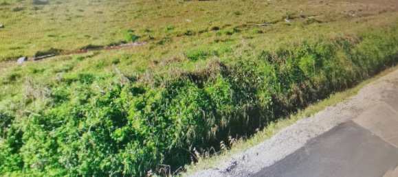 Casa de 8 habitaciónes en Pisa, Italy No. 37830 4