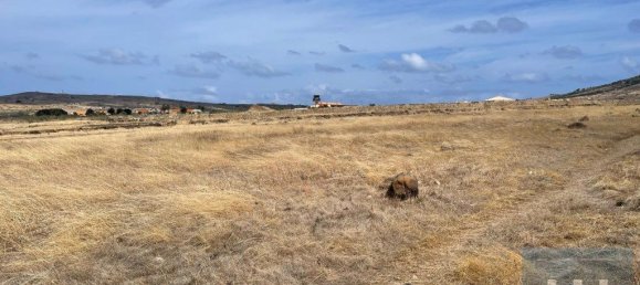 10040m² Land in Porto Santo, Portugal No. 322748 6