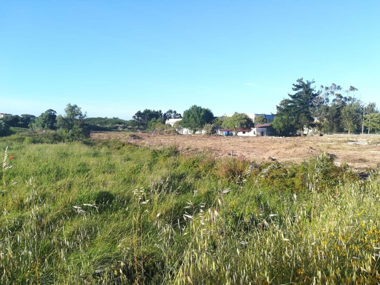  Land in Sintra, Portugal No. 279745