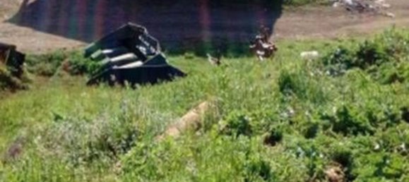 عقار تجاري في Segni, Italy 860متر مربع رقم 257616 5