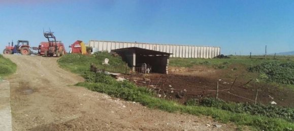 عقار تجاري في Segni, Italy 860متر مربع رقم 257616 8