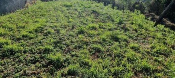 1 bedroom House in Arcos de Valdevez, Portugal No. 24332 17