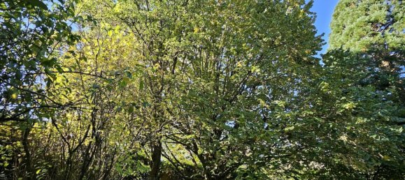 7 غرف نوم منزل في Varennes-en-Argonne, France رقم 40333 7