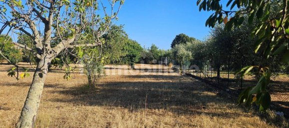 Terrain à Sezze, Italy 8500m² No. 262885 4