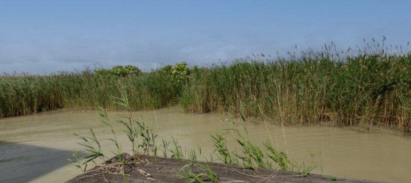 3 rooms House in Rust, Austria No. 156776 26