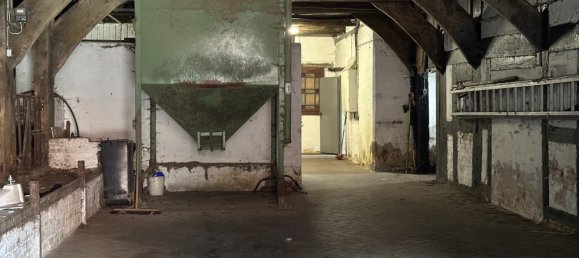 Granja de 10 habitaciónes en Diepholz, Germany No. 366154 15