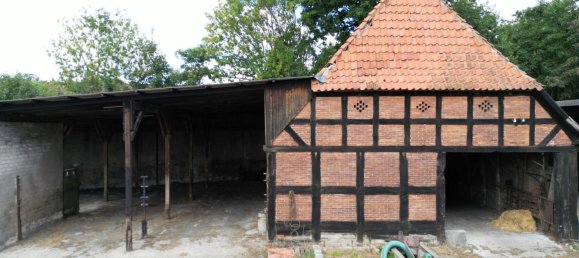 Granja de 10 habitaciónes en Diepholz, Germany No. 366154 4