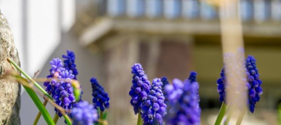 10 rooms House in Aldrans, Austria No. 182849 14