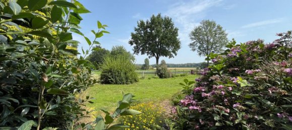 Таунхаус с 7 комнатами в Diepholz, Германия № 325671 3