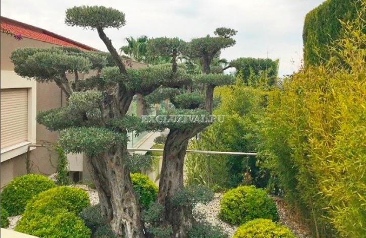 Villa 5+1 in Izmir, Turkey, Nr. 28399