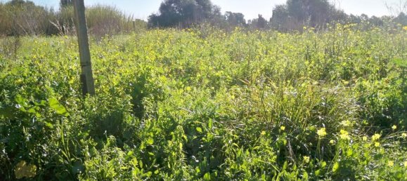 30 rooms House in Ragusa, Italy No. 216030 2