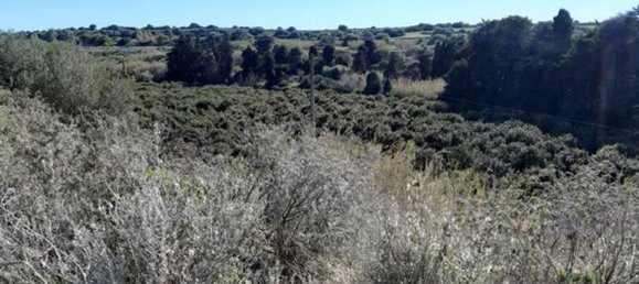 30 rooms House in Ragusa, Italy No. 216030 5