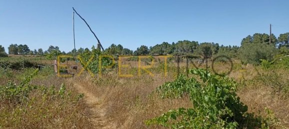 6 غرف نوم منزل في Pinhel, Portugal رقم 39944 5