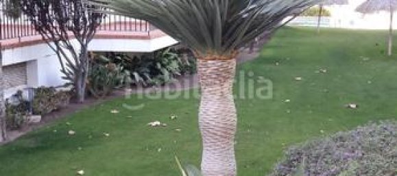 4 bedrooms Penthouse in Benalmadena, Spain No. 169637 33