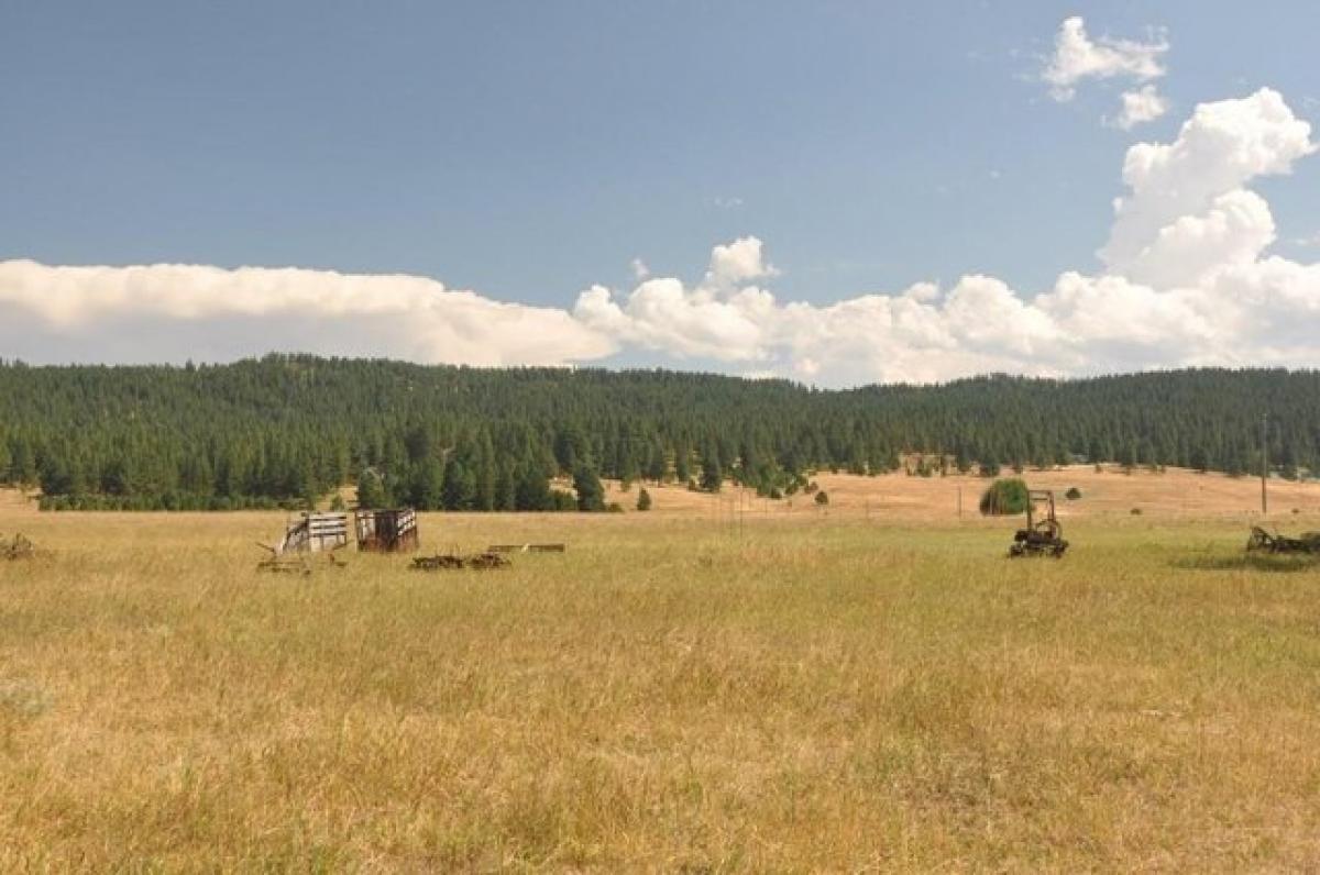  Land in McCall, USA No. 483359