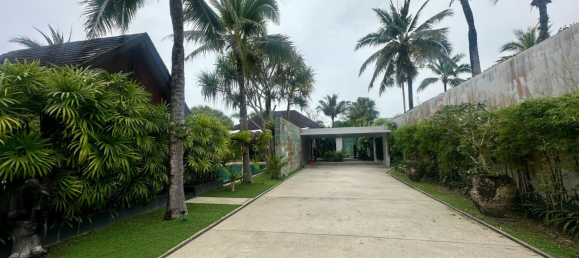 4 bedrooms Cafe / restaurant in Bang Tao, Thailand No. 25292 11