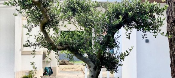 4 bedrooms House in Almada, Portugal No. 144696 5