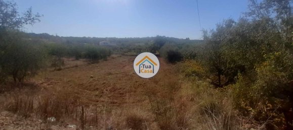 Terrain à Sao Bras de Alportel, Portugal 1140m² No. 77471 5