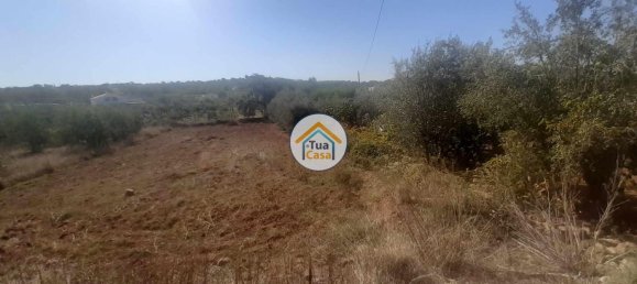 Terrain à Sao Bras de Alportel, Portugal 1140m² No. 77471 2
