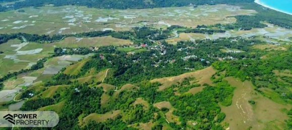 Terrain à East Nusa Tenggara, Indonesia 31484m² No. 4523 5