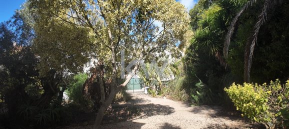 5 Schlafzimmer Villa in Guia, Portugal, Nr. 142650 23