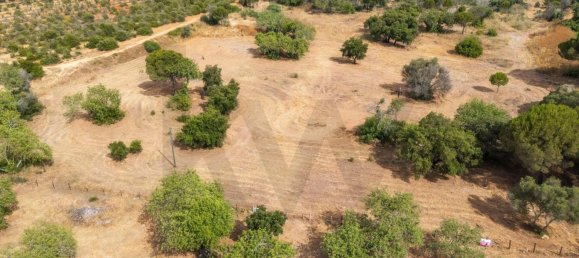 Grundstück in Almancil, Portugal 14872m², Nr. 199141 9