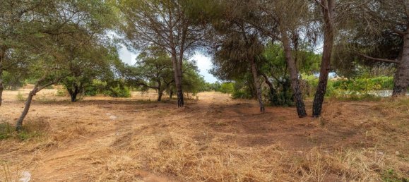 Grundstück in Almancil, Portugal 14872m², Nr. 199141 13