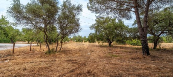 Grundstück in Almancil, Portugal 14872m², Nr. 199141 14