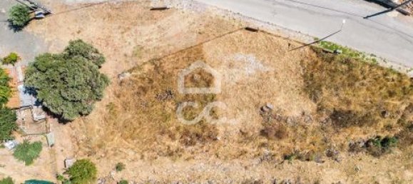 قطعة أرض في Borba, Portugal رقم 229752 6